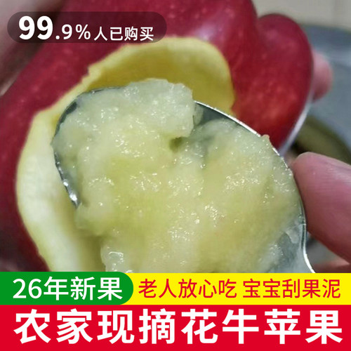 26年现摘粉面沙甜天水花牛苹果老人宝宝刮泥吃蛇红果新鲜水果9斤