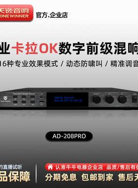 Winner/天逸AD-208Pro家用KTV卡拉OK机混响器效果器前级放大器