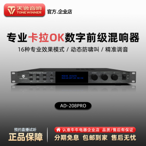 Winner/天逸AD-208Pro家用KTV卡拉OK机混响器效果器前级放大器