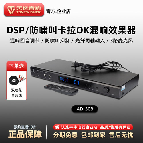 天逸家用ktv数字混响器