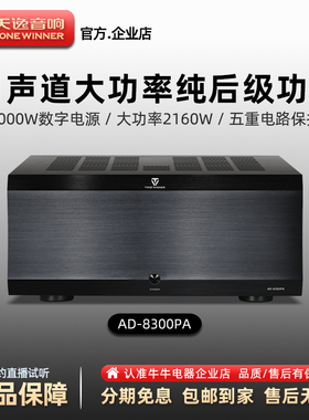 Winner/天逸AD8300PA家庭影院AV纯后级大功率功放家用11声道