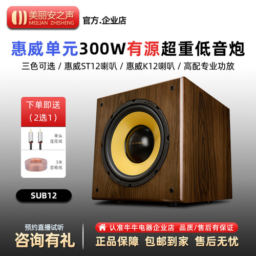 12寸300W大功率有源低音炮
