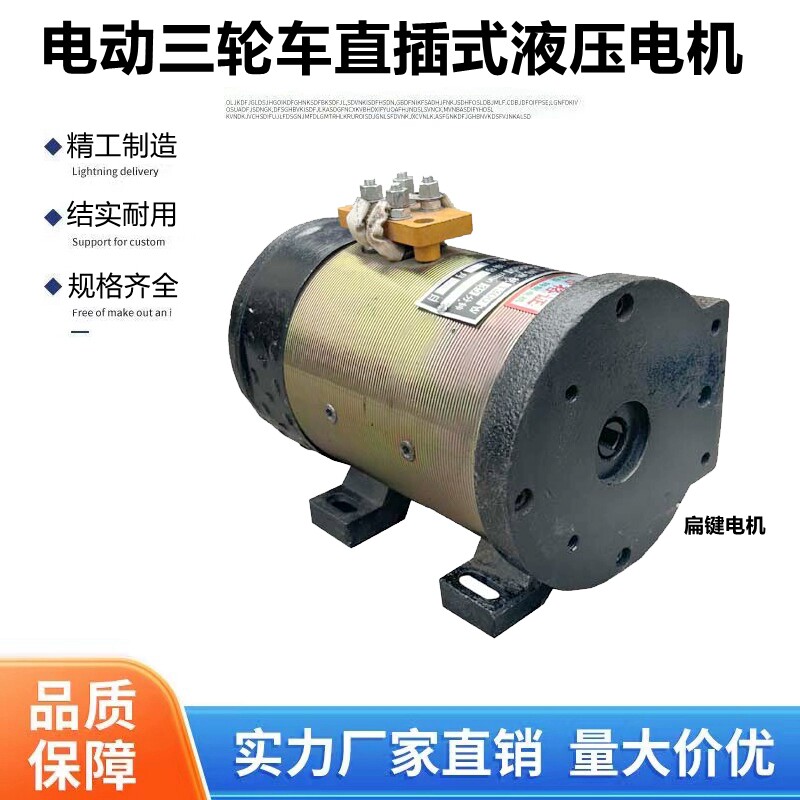 48V60V72扁键直插式油泵电机