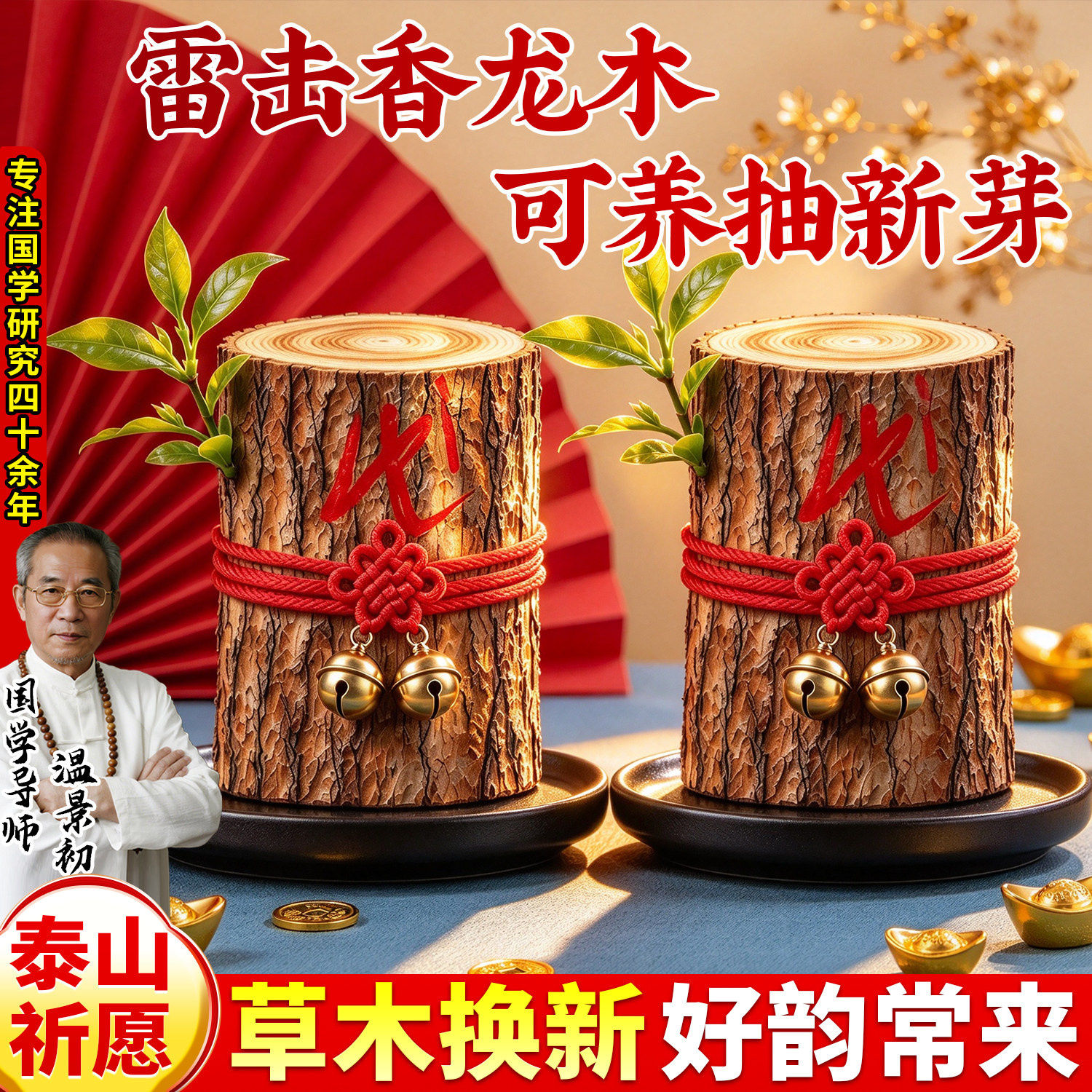 【雷击香龙木】会发芽的木头摆件香龙血树木招福纳财居家实木摆件