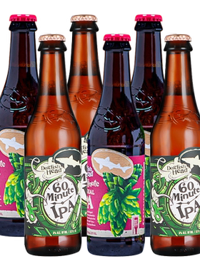DogFish Head 角头鲨90/60分钟啤酒印度淡色IPA啤酒355ml瓶装整箱