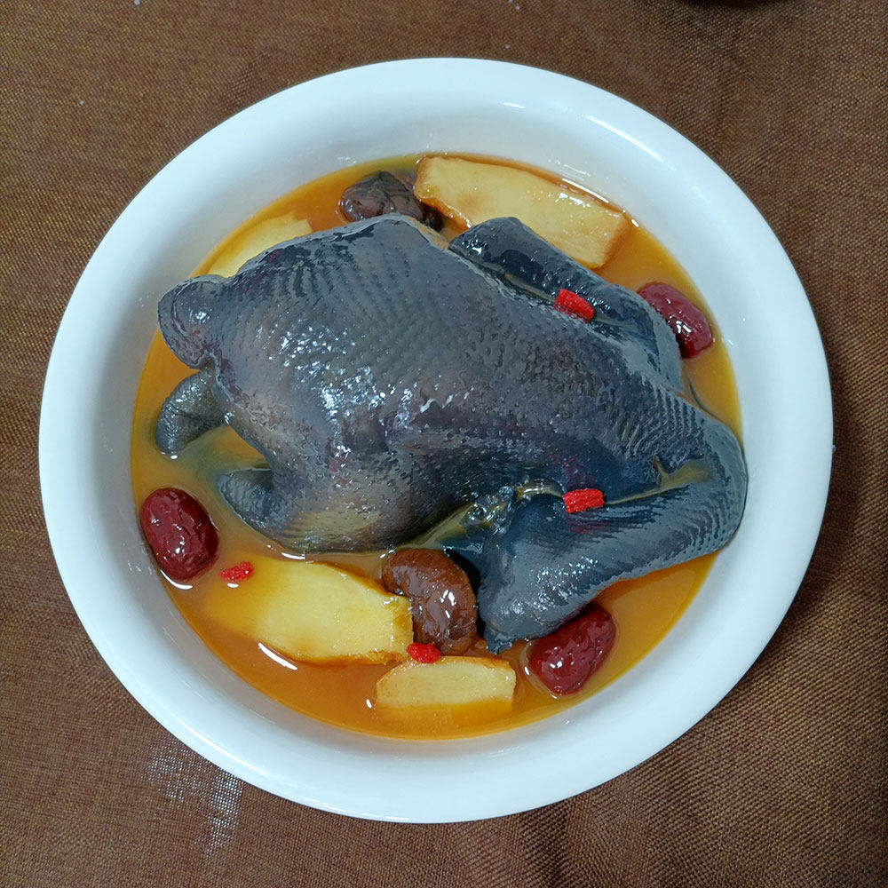 仿真食品模型乌鸡汤模型