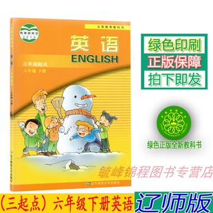 三起点 2023适用辽师大版 社辽师版 三年级起点 英语6六年级下册 课本教材教科书辽宁师范大学出版 英语六6年级下册