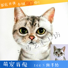 宠物画像新品原创设计猫狗肖像定制宠物家居彩色彩铅素描装饰画图片