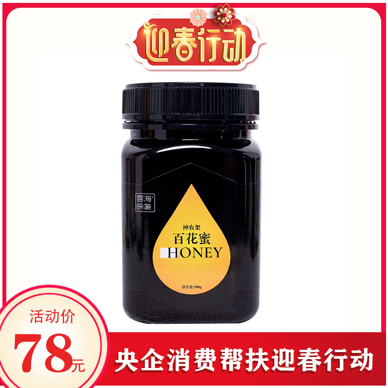 湖北神农架 云海映象 24年新蜜百花蜜土蜂蜜纯正天然液态蜜