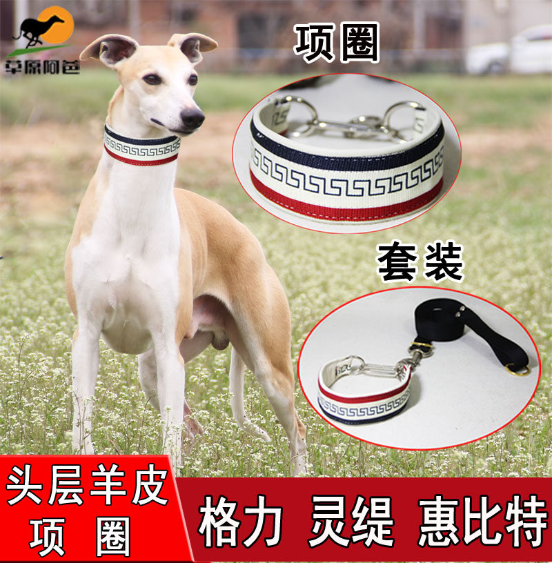 3厘米真羊皮狗脖圈项圈脖套中小型犬格力灵缇惠比特细狗脖圈项圈