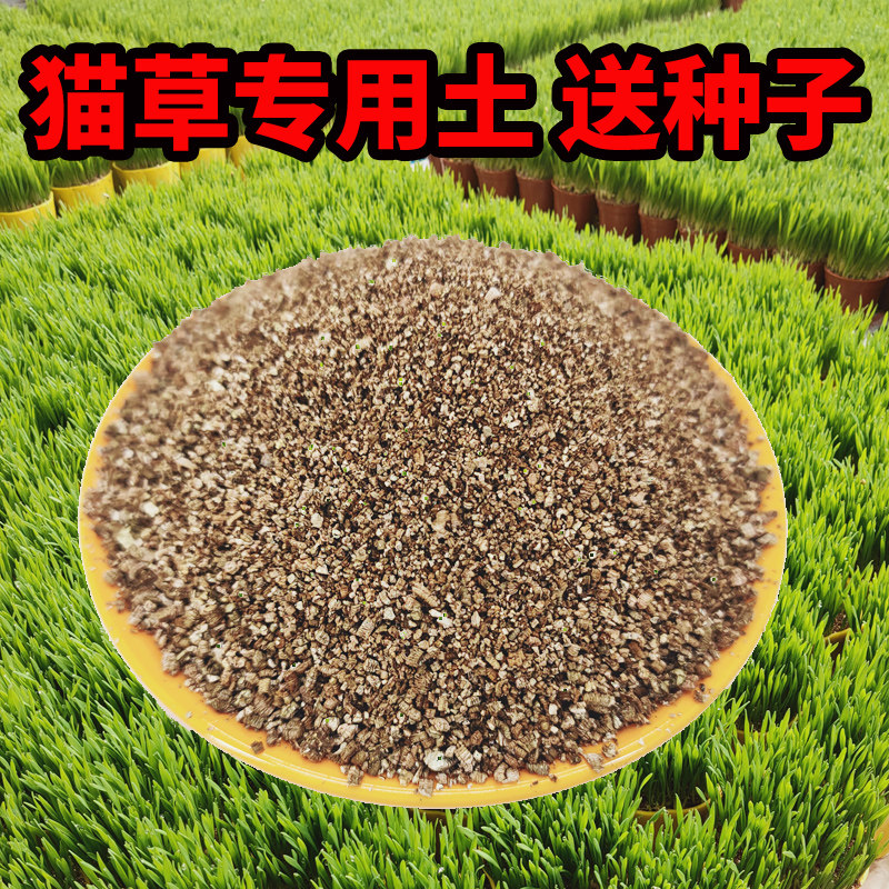 猫草专用种植土猫草种子土培猫草猫零食罐