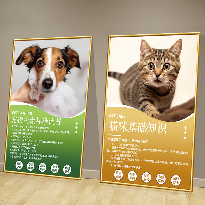 宠物店墙面装饰挂画动物美容海报医院诊所挂画猫狗护理知识墙壁纸图片