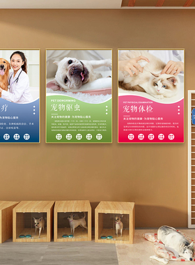 宠物店墙面装饰画动物医院护理科普挂画猫狗诊所墙壁画海报贴纸