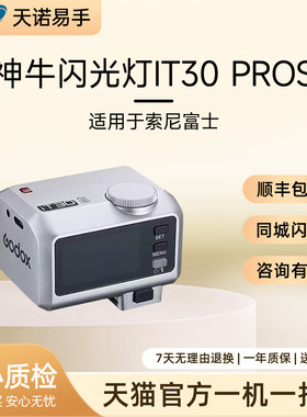 Godox/神牛 闪光灯 IT30 PROS 索尼口 二手闪光灯