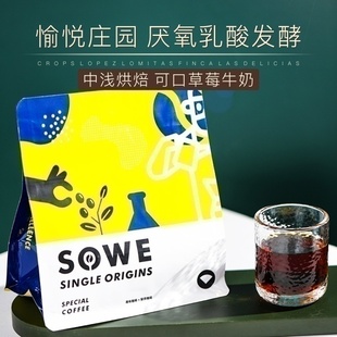 凑味愉悦哥伦比亚棕榈树与大嘴鸟庄园厌氧乳酸发酵日晒咖啡豆227g