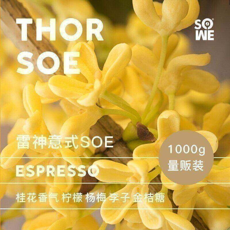 凑味雷神SOE日晒耶加雪菲美式精品竞赛级意式浓缩咖啡豆1KG可磨粉
