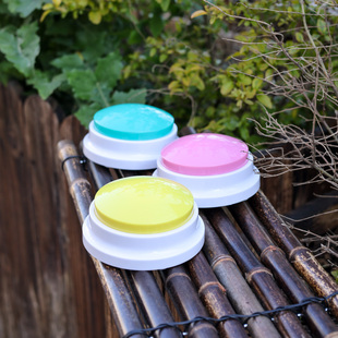 幼儿园录音按钮宝宝学说话训练神器亲子交流发声盒宠物互动猫咪狗