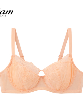 Etam法式小胸聚拢文胸性感蕾丝舒适亲肤收副乳内衣W124DI0109