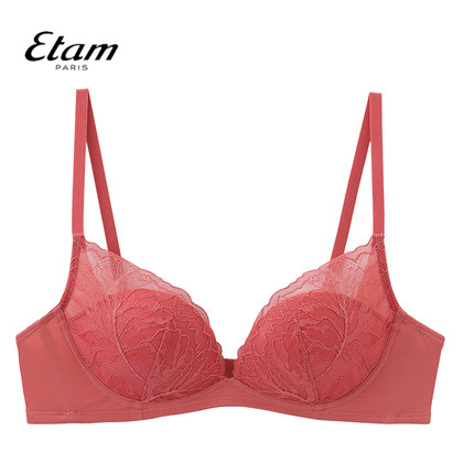 Etam羽感Lover系列内衣法式蕾丝性感软胶骨聚拢文胸W321DI0104