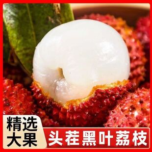 2026福建漳州黑叶荔枝产地直采现摘现发核小肉厚清甜多汁鲜果