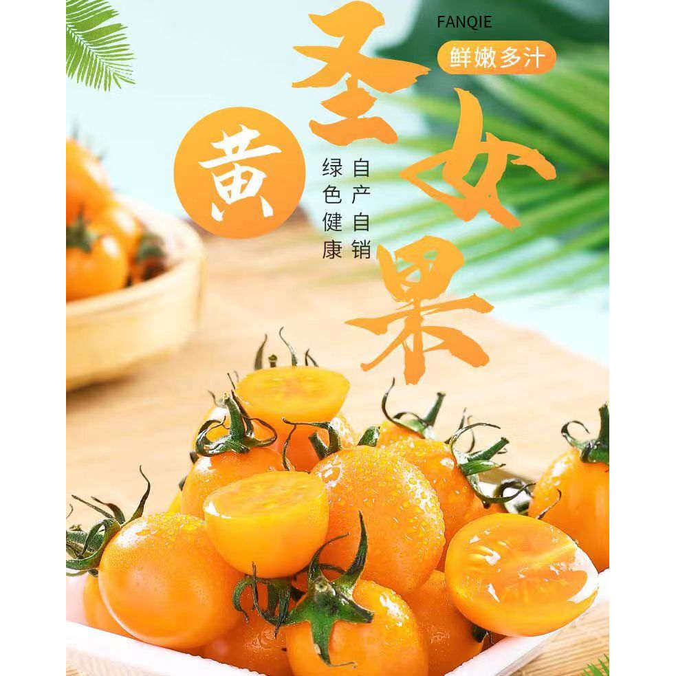 黄金圣女果新鲜小番茄自产自销绿色健康鲜嫩多汁圣女果颗颗饱满,水产肉类/新鲜蔬果/熟食,番茄,淘宝优惠券,粉丝福利购,淘宝优惠卷
