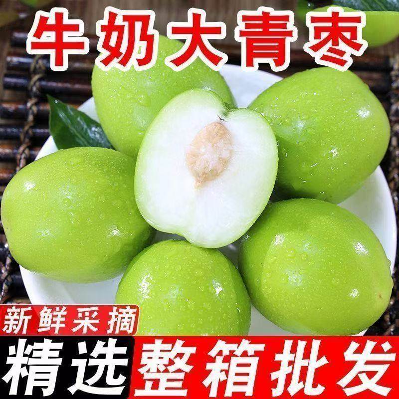 枣子新鲜现摘牛奶枣大青枣脆甜牛奶冬枣当季孕妇水果苹果枣贵妃枣,水产肉类/新鲜蔬果/熟食,枣,淘宝优惠券,粉丝福利购,淘宝优惠卷