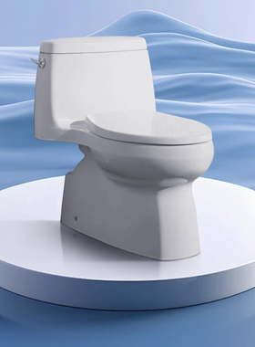 科勒K-20169T-S-0圣罗莎丽裙版连体马桶座便器