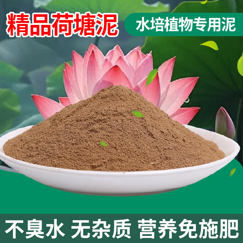 荷塘泥碗莲睡莲专用土河泥养鱼莲花水养泥块30斤淤泥土荷花专用泥