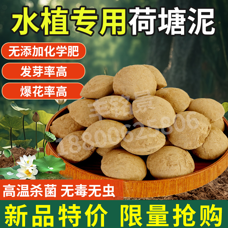荷塘泥睡莲水养植物泥鳅乌龟专用泥碗莲种子荷花铜钱草塘泥营养土