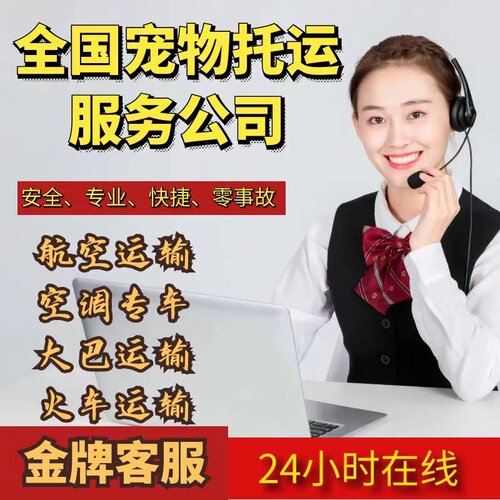 宠物托运全国上门接送价格便宜