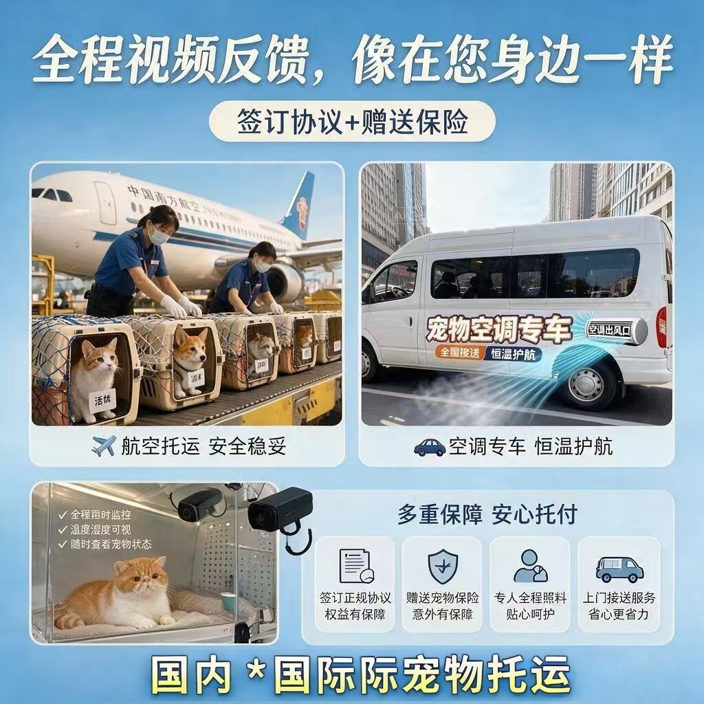 宠物托运全国上门接送价格便宜