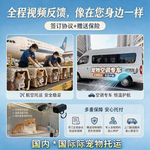 宠物托运全国上门接送价格便宜
