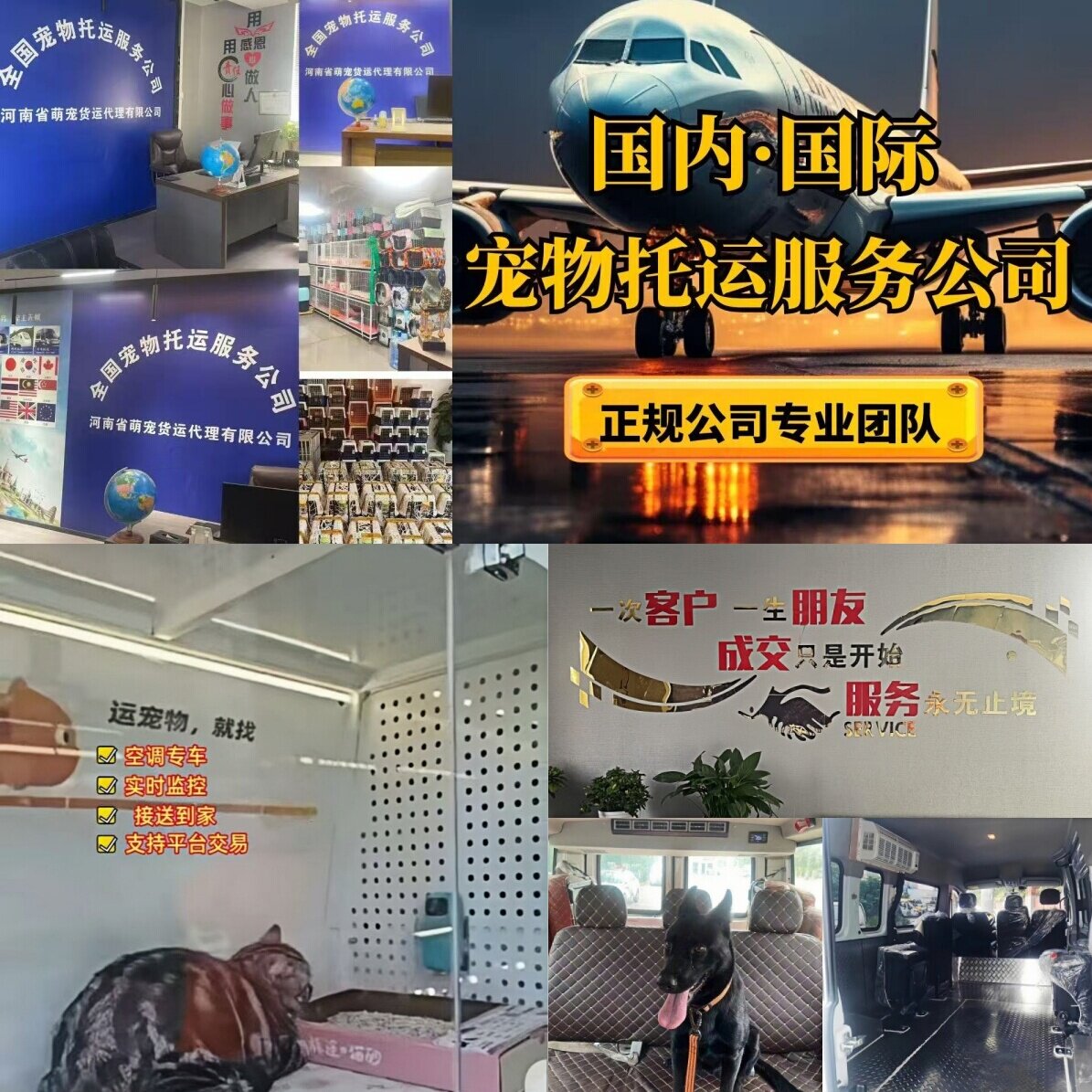 宠物托运代办手续上门接送