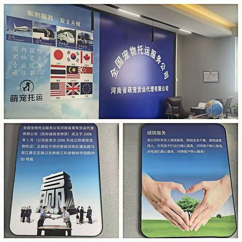宠物托运服务国内国际安全专业