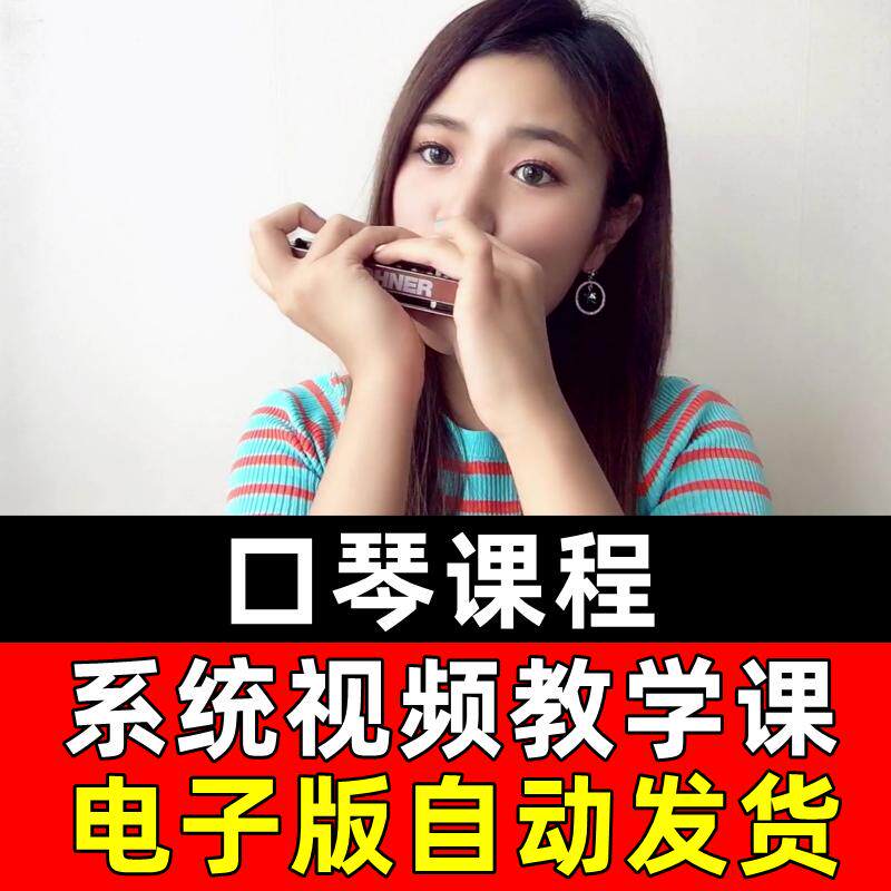 口琴视频教学入门教程24孔10孔蓝调半音阶经典曲子谱教材课课程