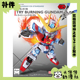 011B 全新补件 零件 TRY燃炎高达 TBG 万代拼装 SDEX