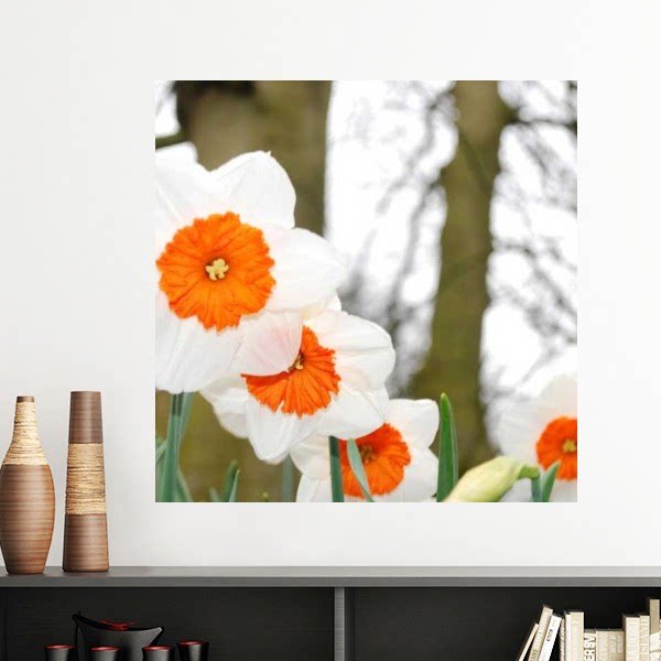 红白花树木阳光墙贴壁纸房间贴花