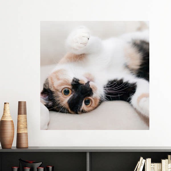 可爱花纹猫家猫躺休息墙贴壁纸房间贴花