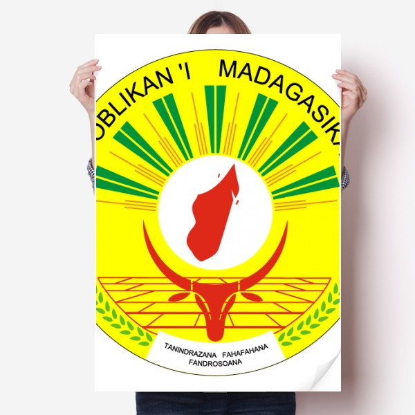 马达加斯加f非洲国徽海报贴纸80x55cm墙贴纸卧室家居装饰