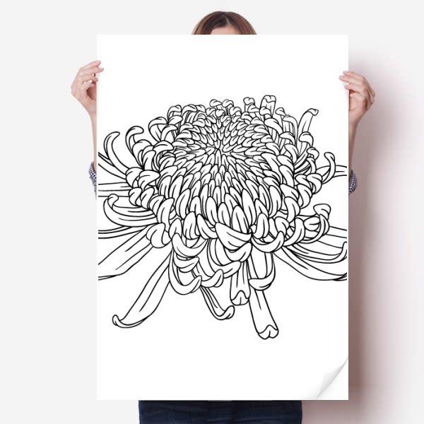 菊花剪影植物花卉海报贴纸80x55cm墙贴纸卧室家居装饰
