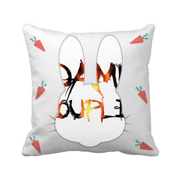 标语fff团烧死情侣兔子方形抱枕靠枕沙发靠垫双面含芯礼物