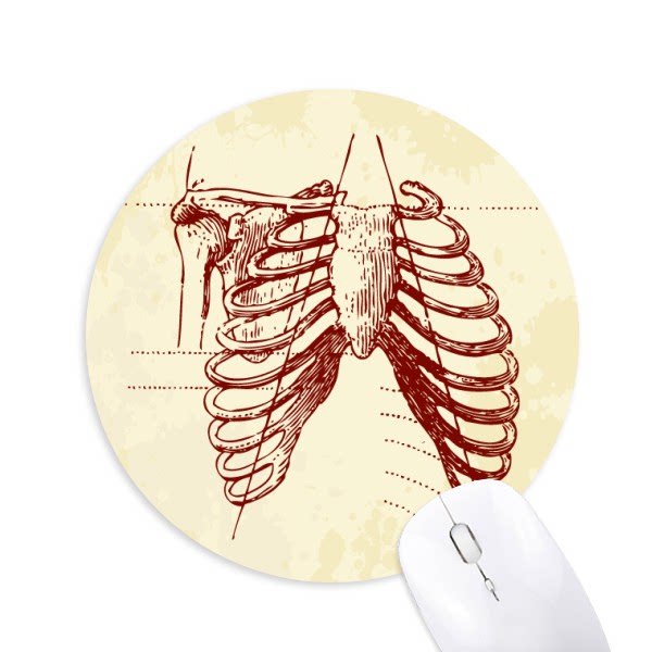 肋骨人体胸腔素描骨骼圆形游戏办公防滑橡胶鼠标垫礼物