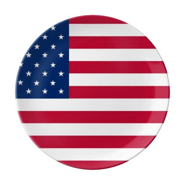 美国国旗北美洲国家象征符号陶瓷餐盘子8寸月光盘餐具家居礼物