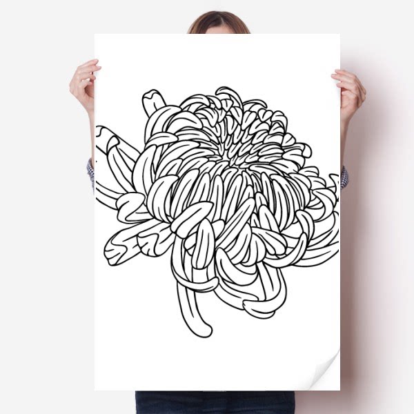 花卉菊花剪影植物海报贴纸80x55cm墙贴纸卧室家居装饰