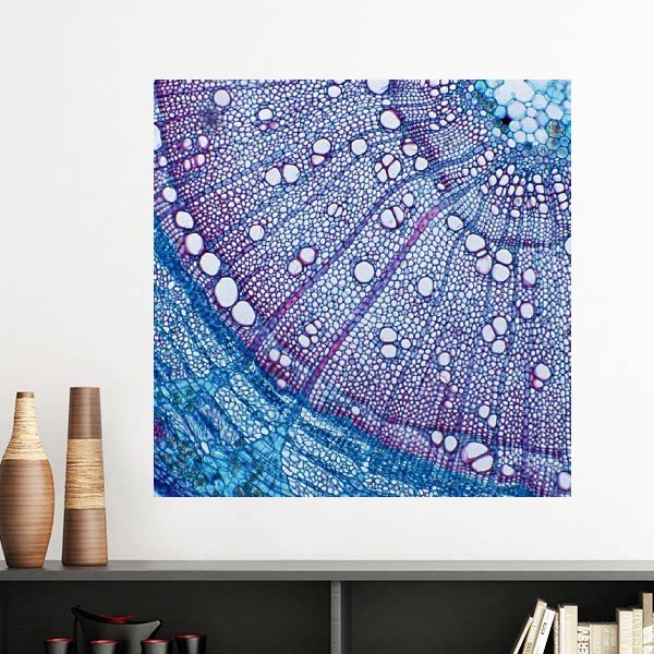 科学植物细胞蓝色图案墙贴壁纸房间贴花