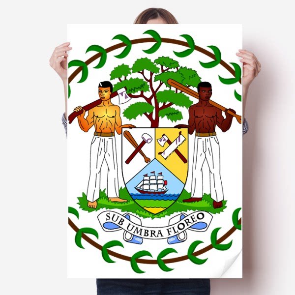 伯利兹国徽标志符号图案海报贴纸80x55cm墙贴纸卧室家居装饰