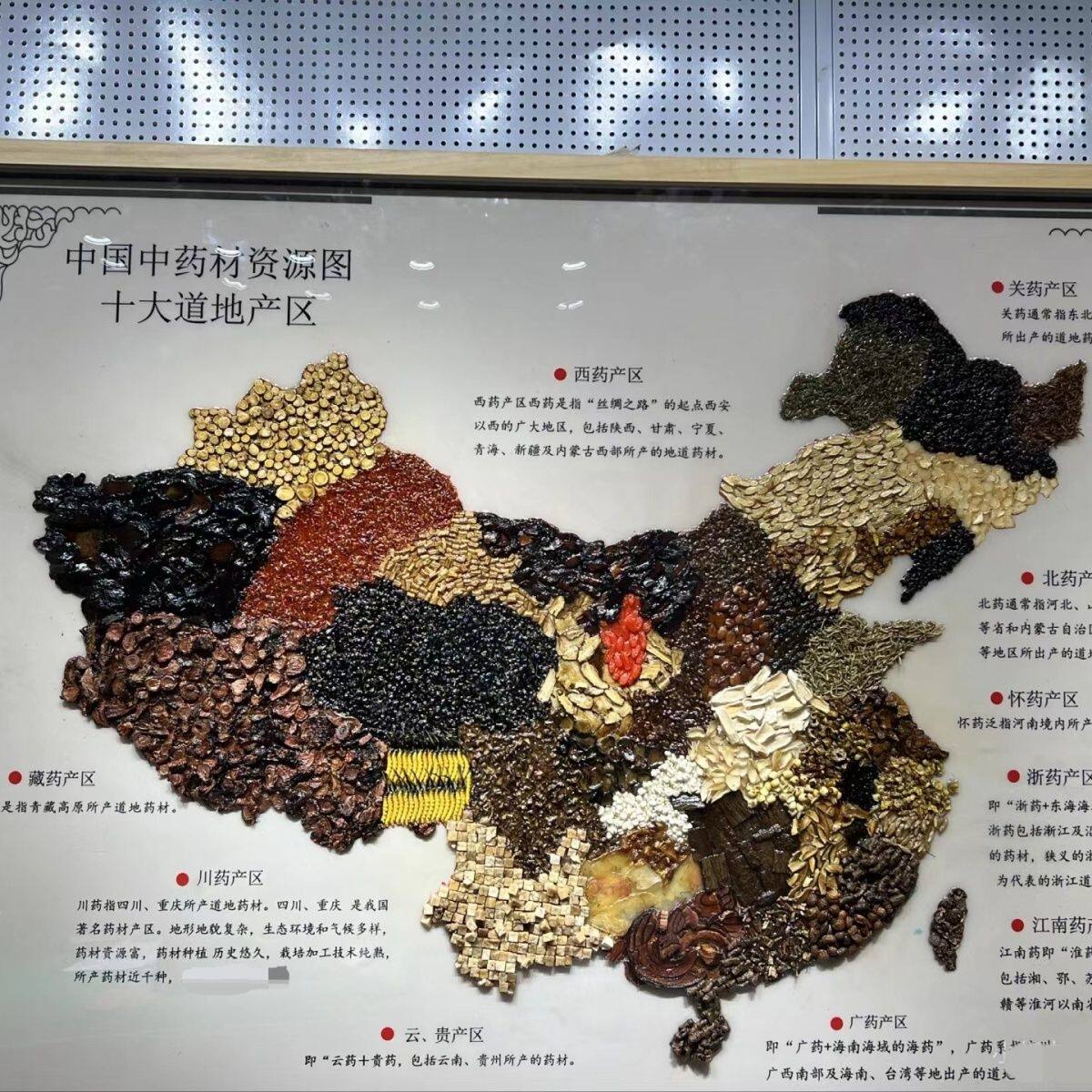 中药标本展示画中药材标本中药标本中药标本中药标本中药标本