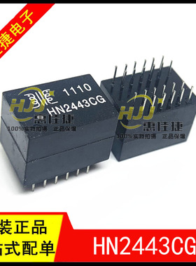 HN2443CG DIP24 网络变压器 全新原装现货 一站式配单 欢迎咨询！