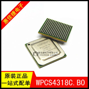 全新原装 WPCS4318C.B0 BGA