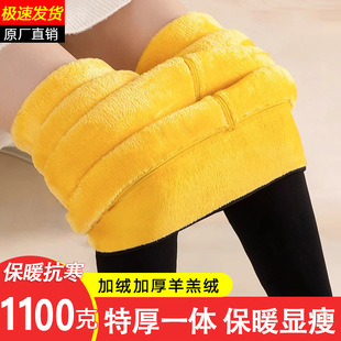 子 高腰无缝一体绒东北抗寒打底保暖裤 1000克特厚羊羔绒棉裤 女冬季